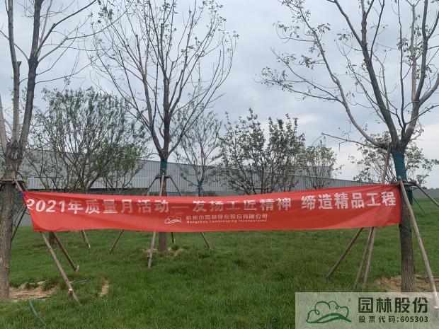 亚洲精品白浆高清久久久久久