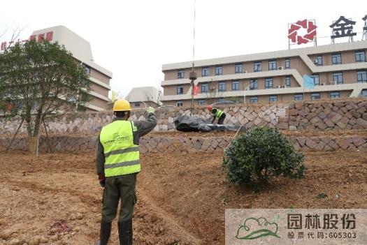 亚洲精品白浆高清久久久久久