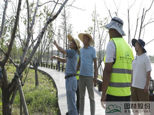 亚洲精品白浆高清久久久久久