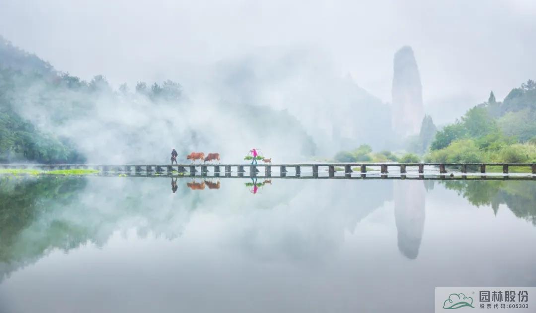 亚洲精品白浆高清久久久久久