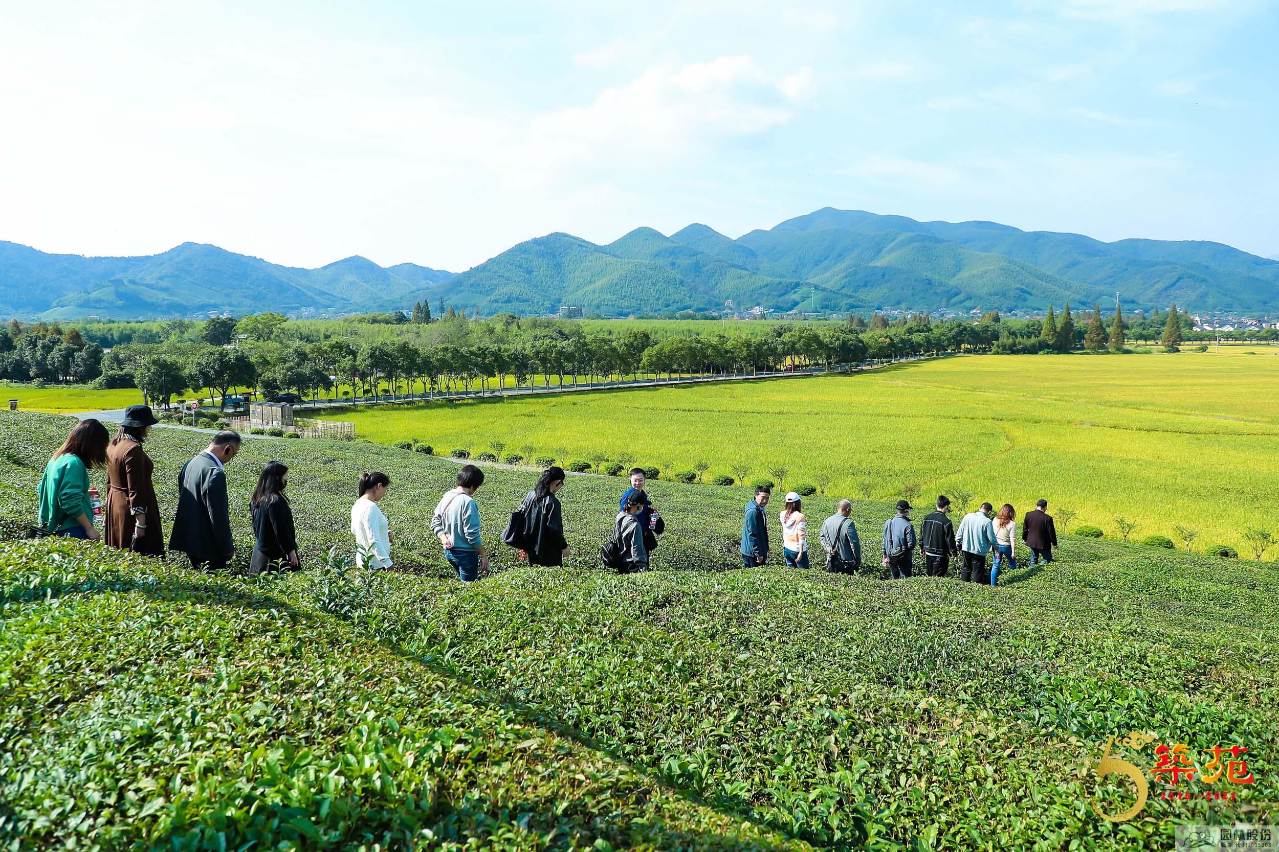 亚洲精品白浆高清久久久久久