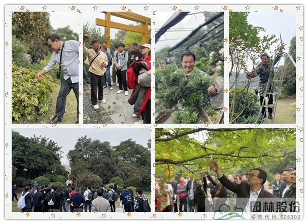 亚洲精品白浆高清久久久久久