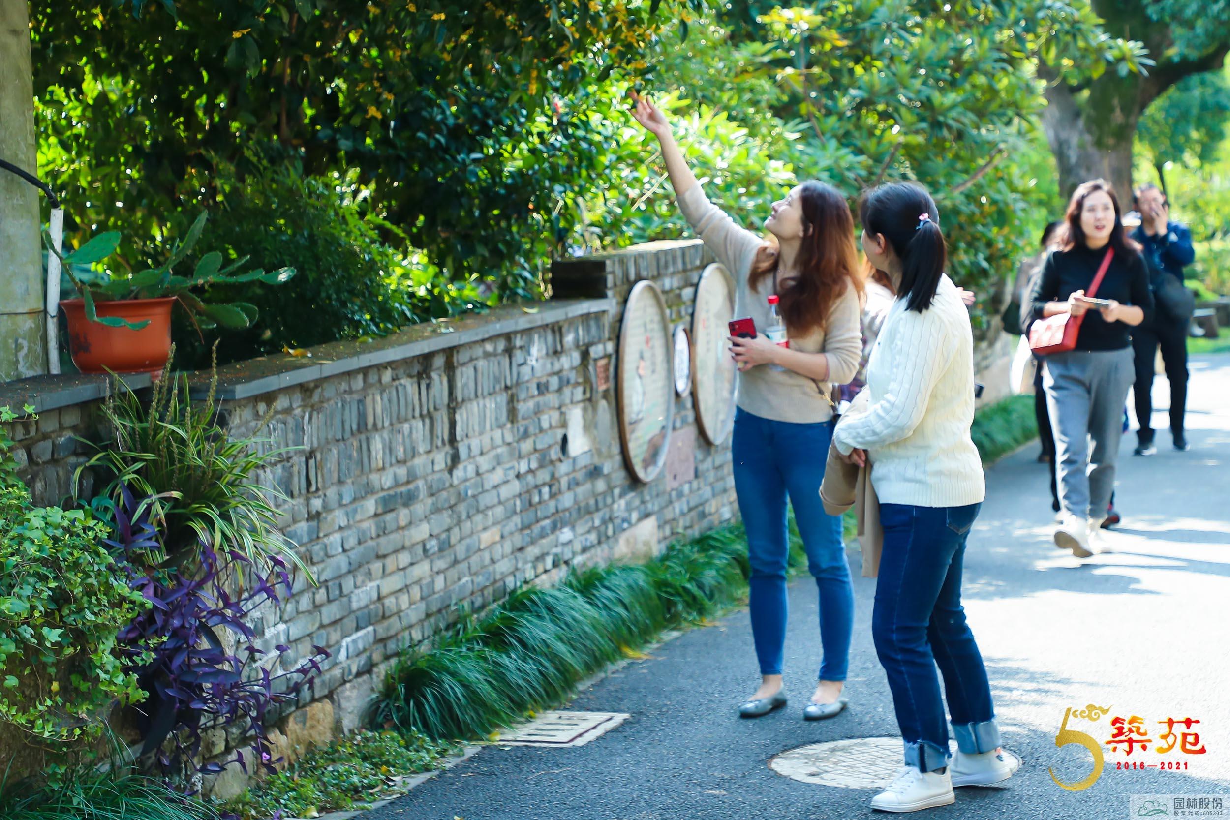 亚洲精品白浆高清久久久久久