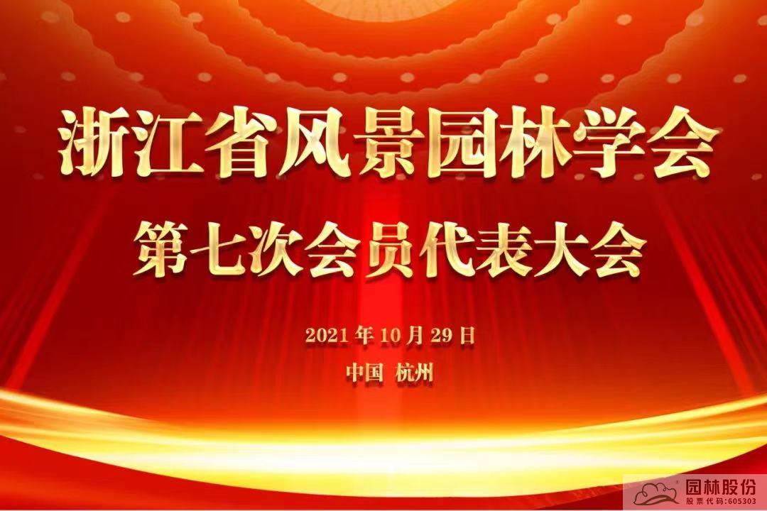 亚洲精品白浆高清久久久久久