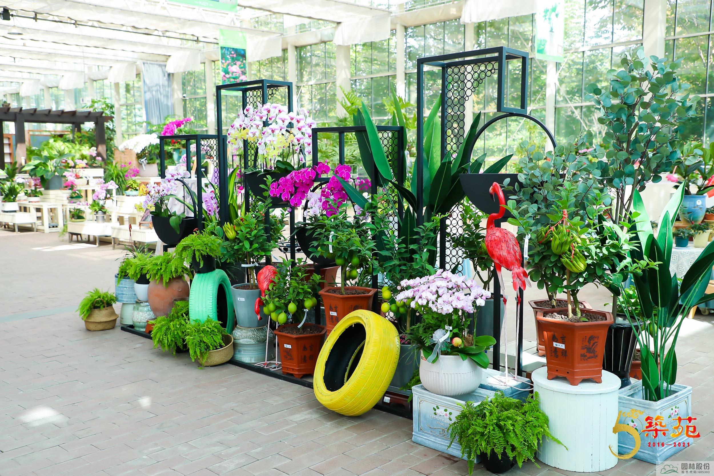 亚洲精品白浆高清久久久久久