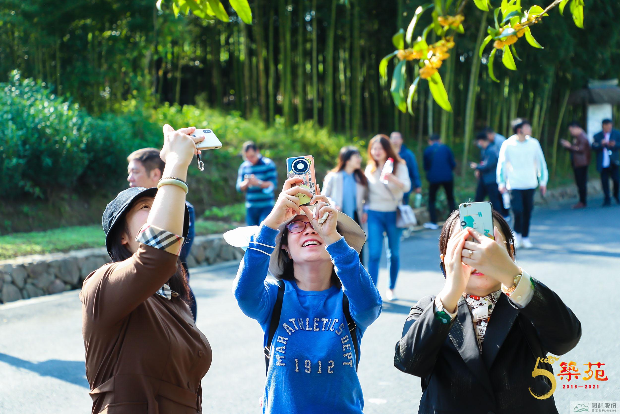 亚洲精品白浆高清久久久久久