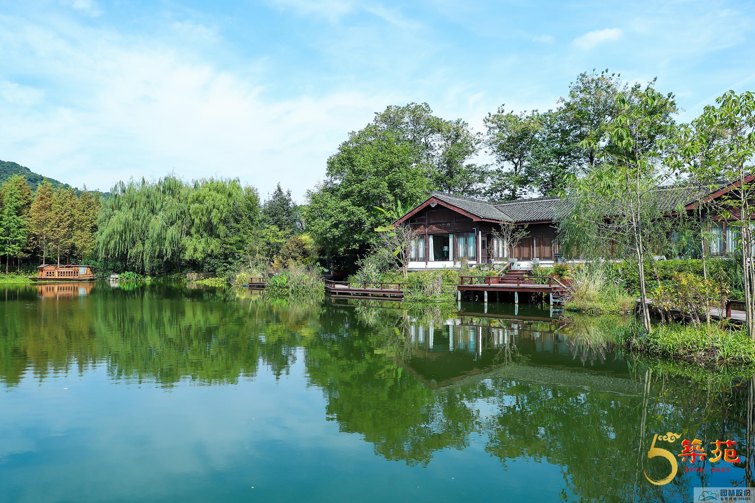 亚洲精品白浆高清久久久久久