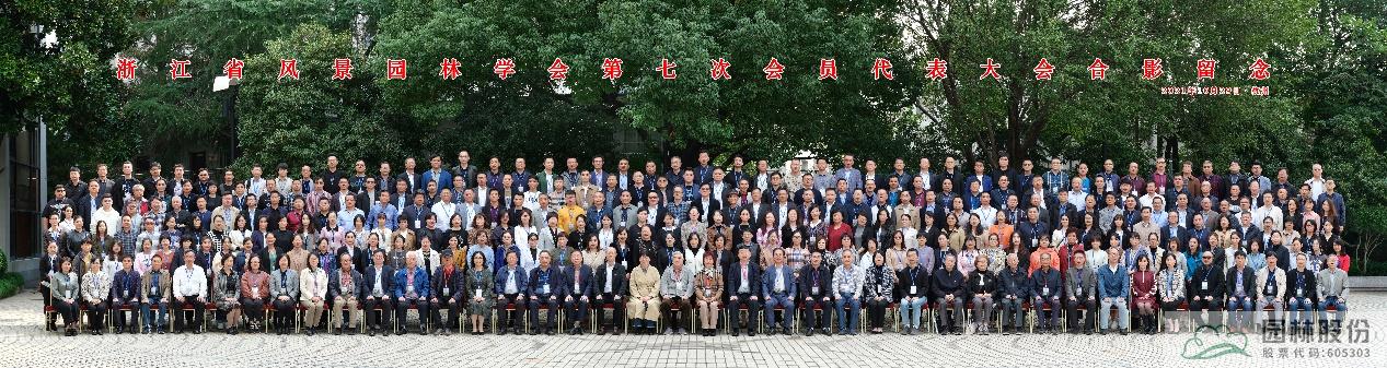 亚洲精品白浆高清久久久久久