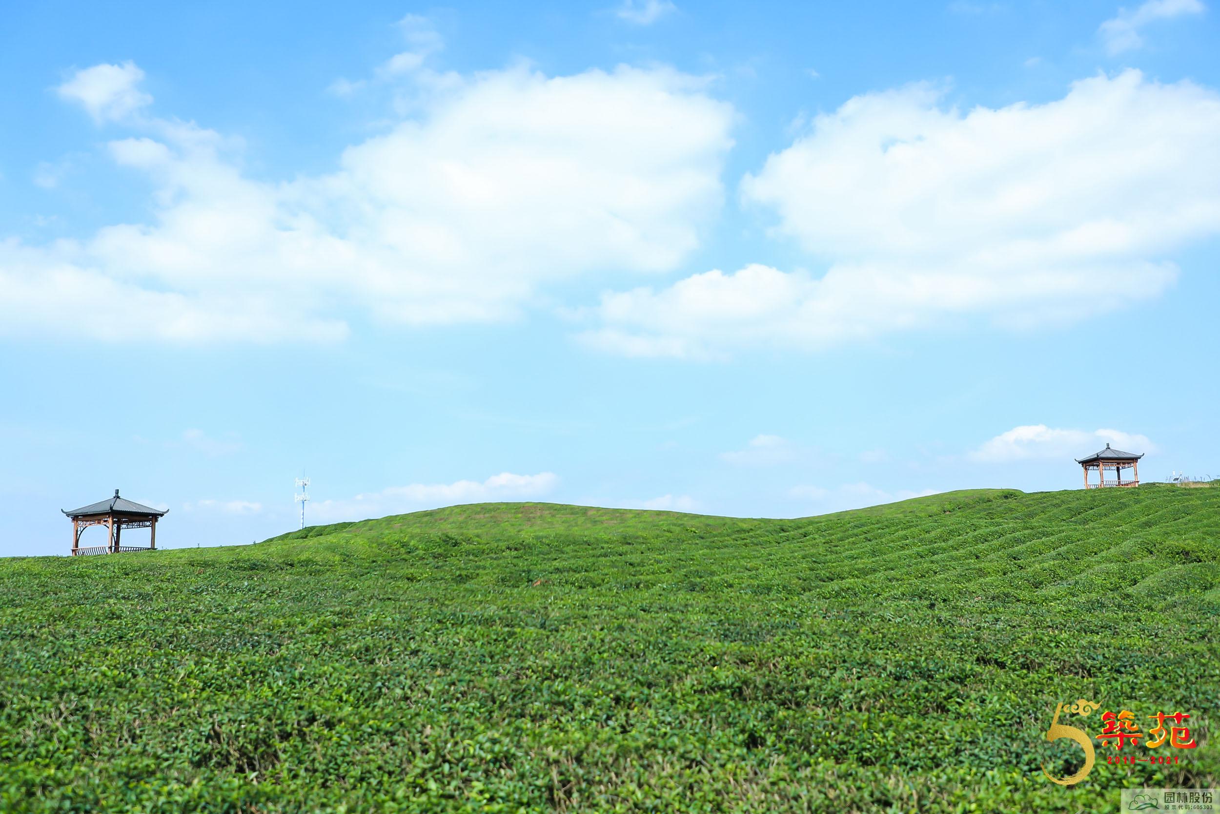 亚洲精品白浆高清久久久久久