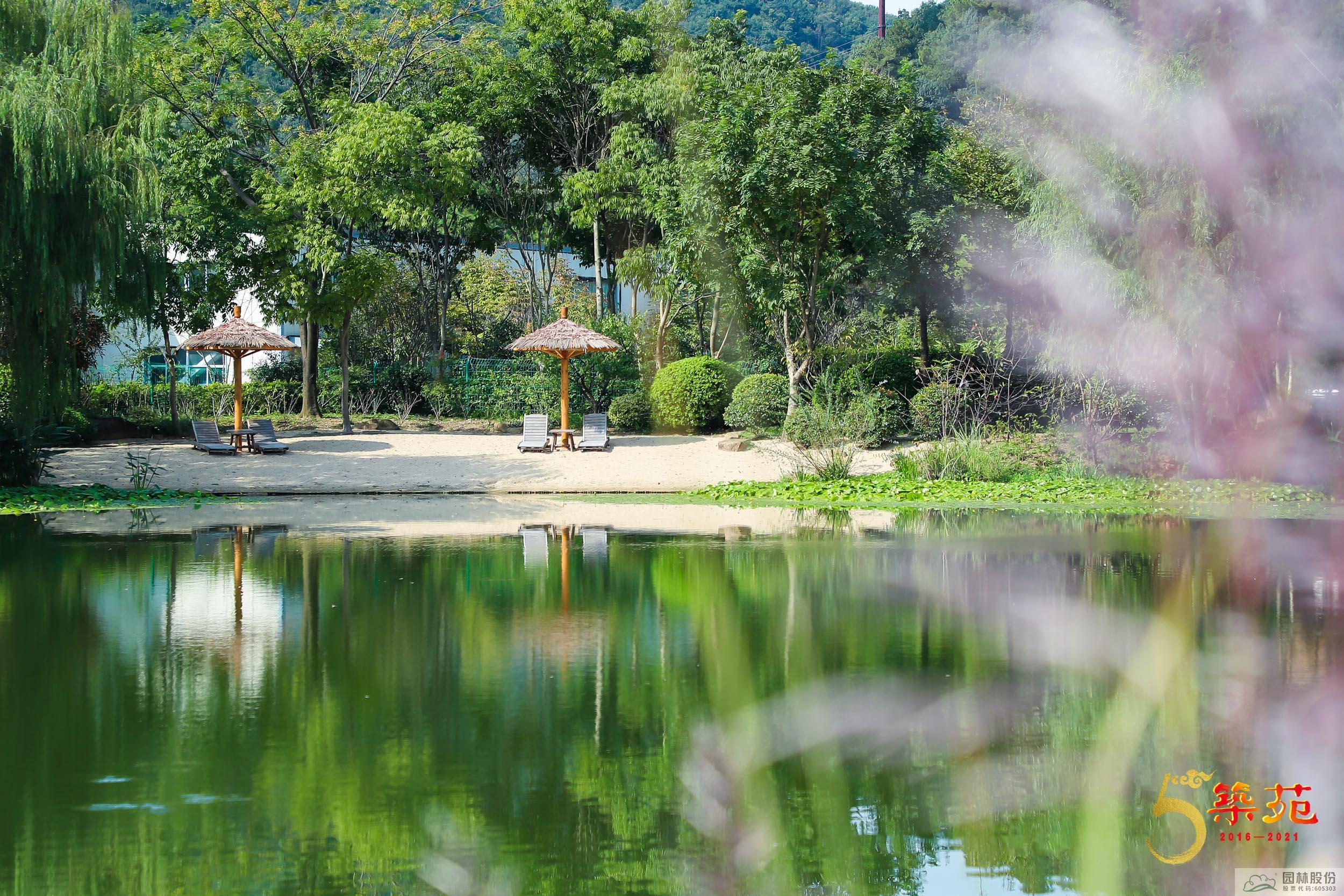 亚洲精品白浆高清久久久久久