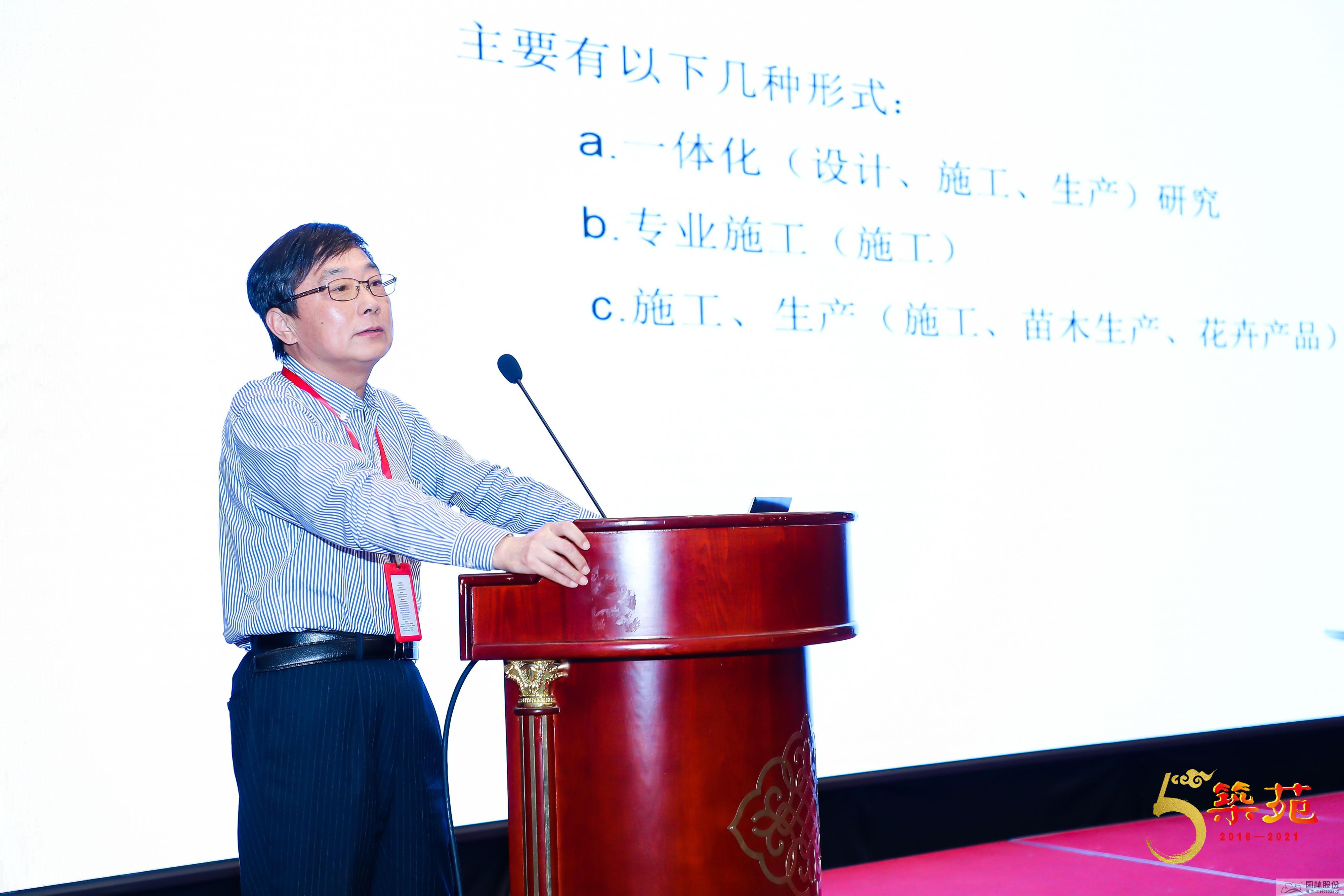 亚洲精品白浆高清久久久久久