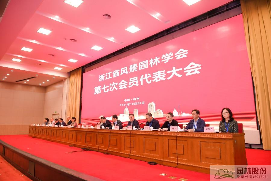 亚洲精品白浆高清久久久久久