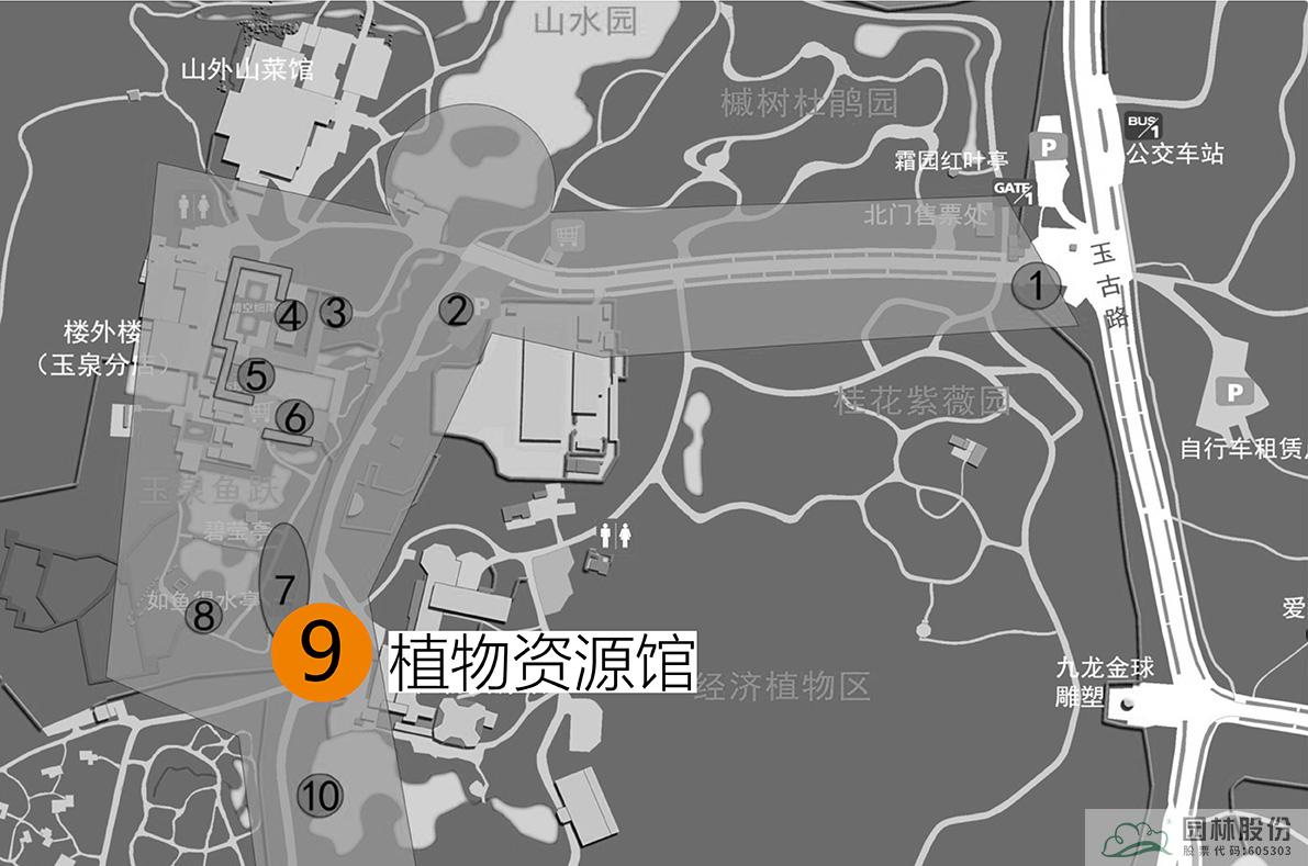 亚洲精品白浆高清久久久久久