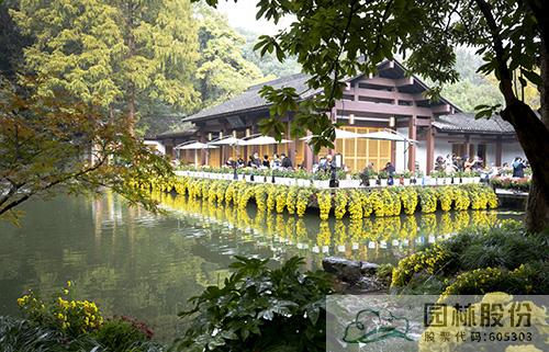 亚洲精品白浆高清久久久久久