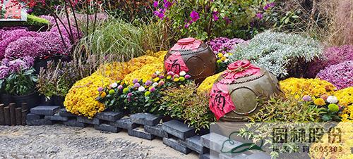 亚洲精品白浆高清久久久久久