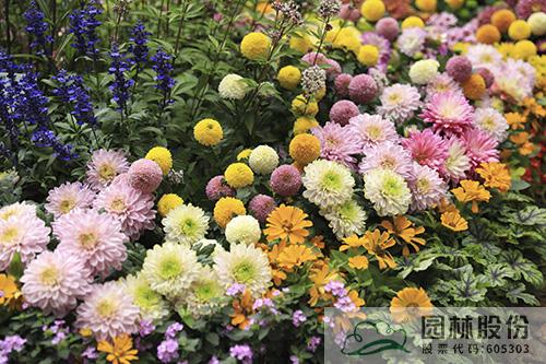 亚洲精品白浆高清久久久久久