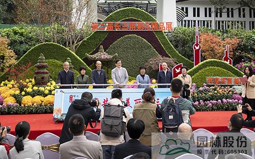 亚洲精品白浆高清久久久久久