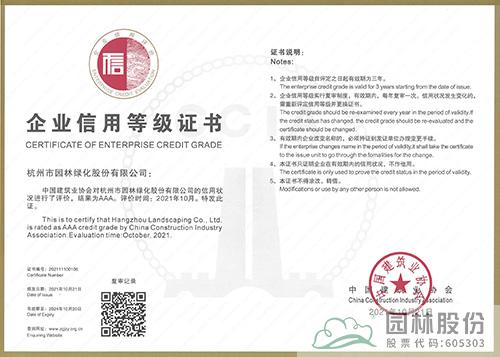 亚洲精品白浆高清久久久久久