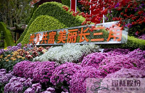 亚洲精品白浆高清久久久久久