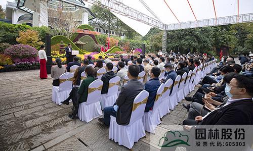 亚洲精品白浆高清久久久久久