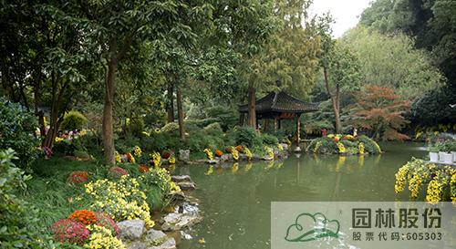 亚洲精品白浆高清久久久久久