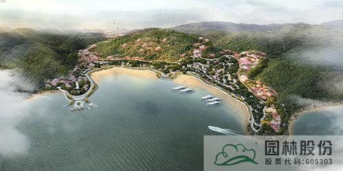 亚洲精品白浆高清久久久久久