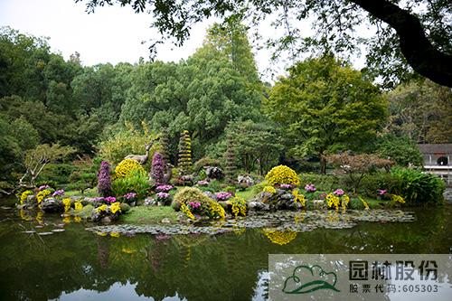 亚洲精品白浆高清久久久久久