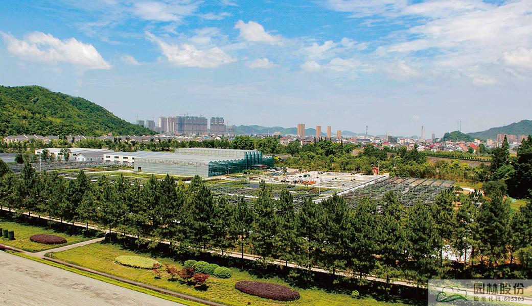 亚洲精品白浆高清久久久久久