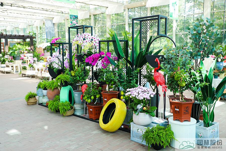 亚洲精品白浆高清久久久久久