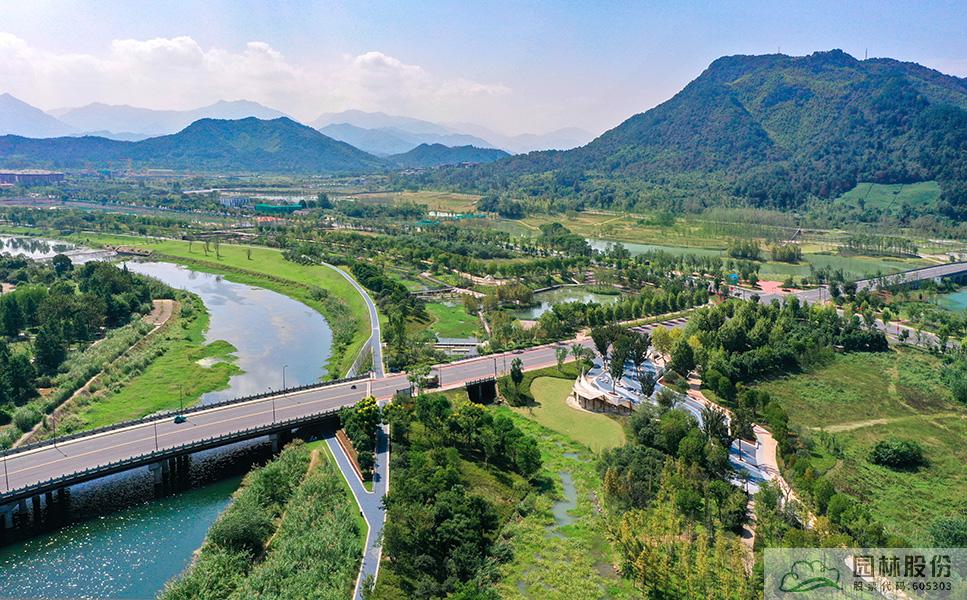 亚洲精品白浆高清久久久久久