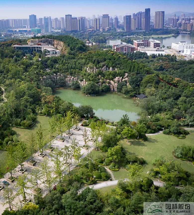 亚洲精品白浆高清久久久久久