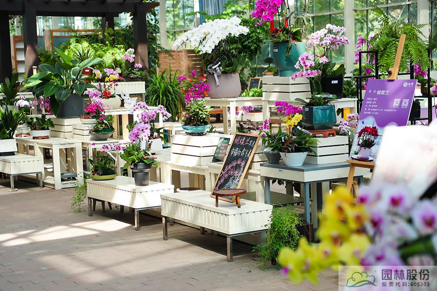 亚洲精品白浆高清久久久久久