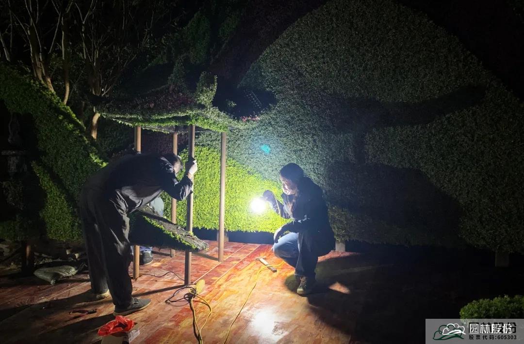 亚洲精品白浆高清久久久久久