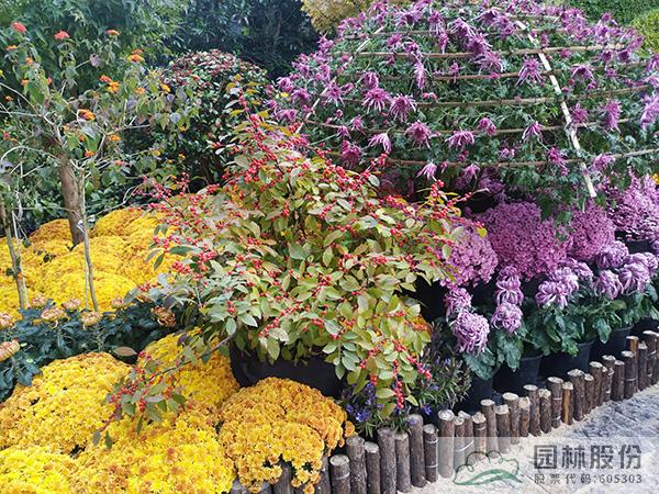 亚洲精品白浆高清久久久久久