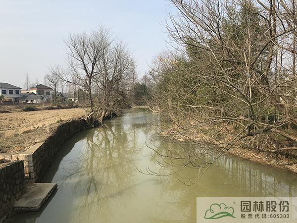 亚洲精品白浆高清久久久久久