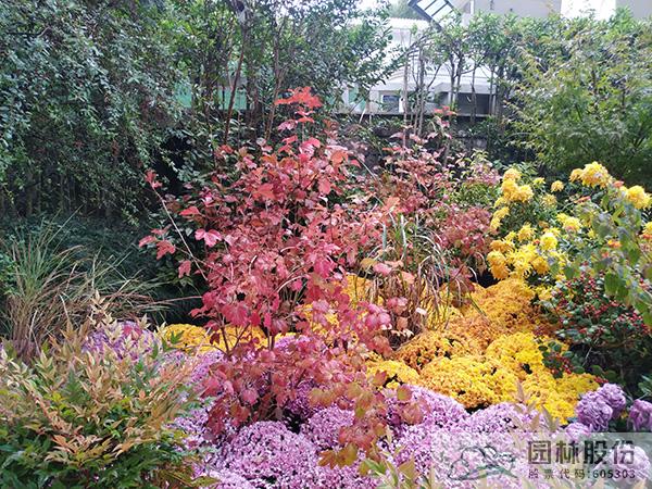 亚洲精品白浆高清久久久久久