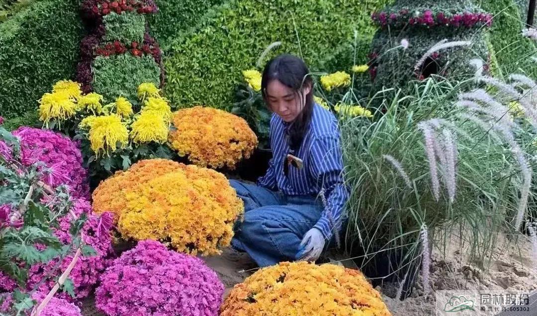 亚洲精品白浆高清久久久久久