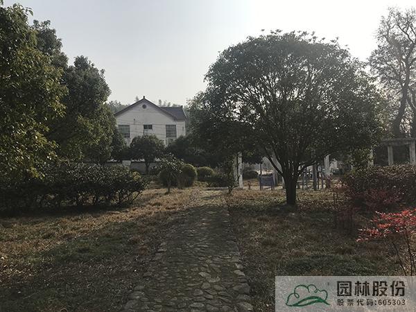 亚洲精品白浆高清久久久久久