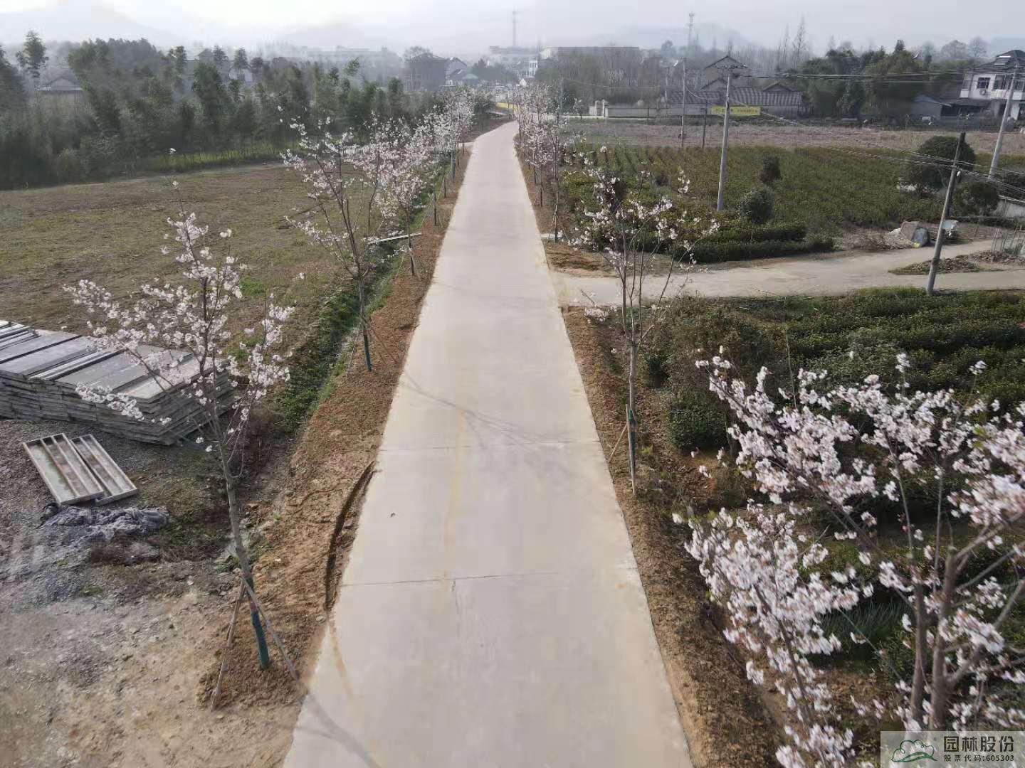 亚洲精品白浆高清久久久久久