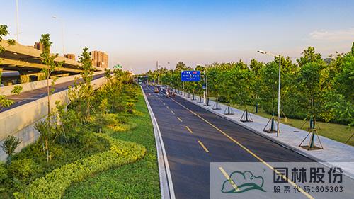 亚洲精品白浆高清久久久久久