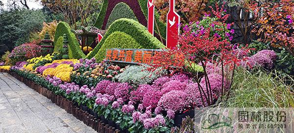 亚洲精品白浆高清久久久久久