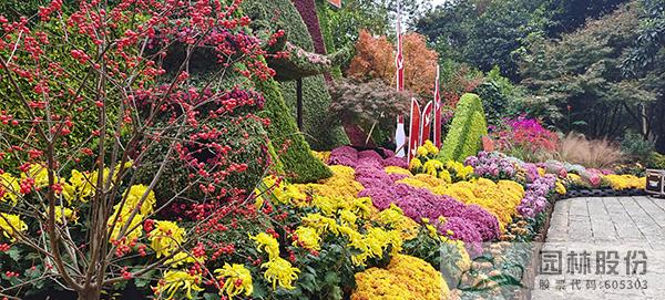 亚洲精品白浆高清久久久久久