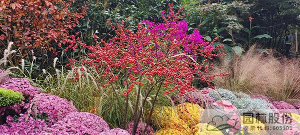 亚洲精品白浆高清久久久久久