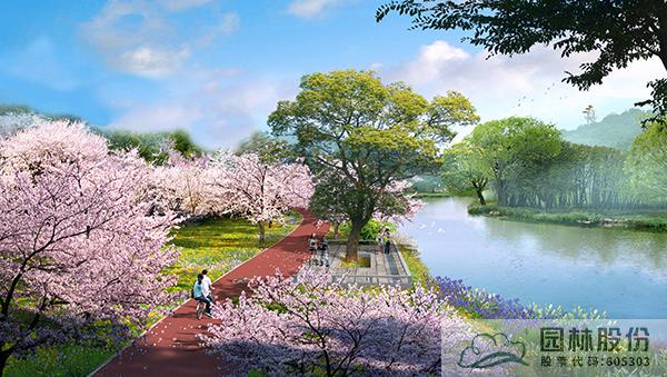 亚洲精品白浆高清久久久久久