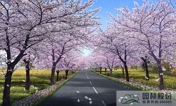 亚洲精品白浆高清久久久久久