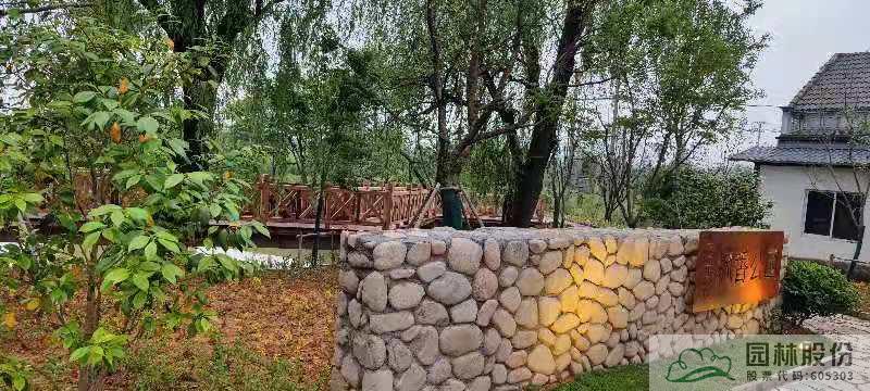 亚洲精品白浆高清久久久久久