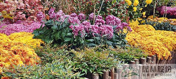 亚洲精品白浆高清久久久久久