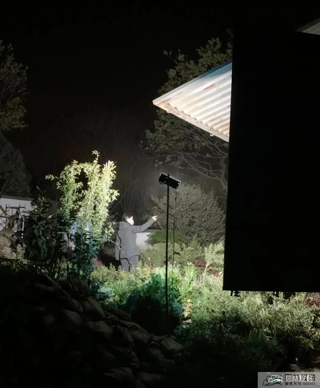 亚洲精品白浆高清久久久久久