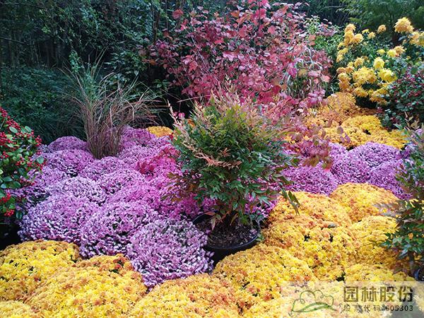 亚洲精品白浆高清久久久久久