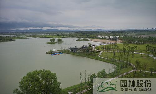 亚洲精品白浆高清久久久久久